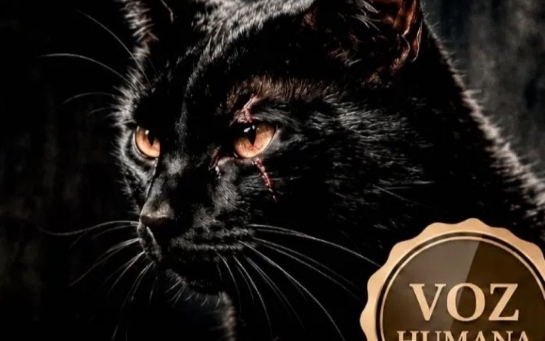 EL GATO NEGRO, de Edgar Allan Poe | Audiolibro dramatizado con voz humana + Análisis – Acceso anticipado